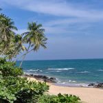 Découvrir le Sri Lanka et ses charmants sites lors d’un séjour en Asie