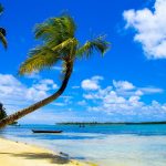 Découvrir la beauté et la richesse de Madagascar en visitant ses parcs nationaux
