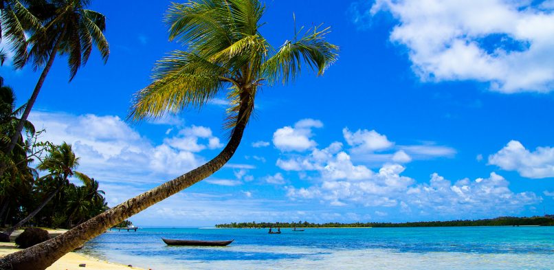 Découvrir la beauté et la richesse de Madagascar en visitant ses parcs nationaux