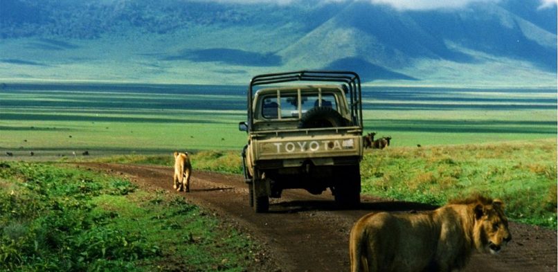S’adonner au safari dans les plus belles destinations d’Afrique