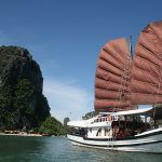 Voyager au Vietnam : à la découverte du charme de la baie d’Ha Long